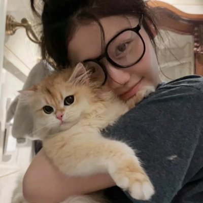 船上的猫